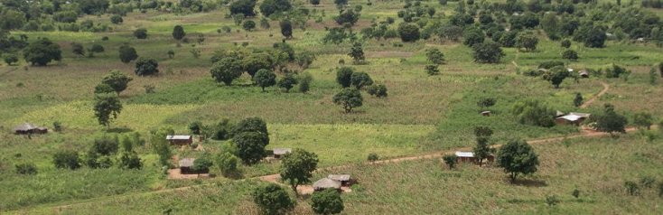 Analysis Diagnosis of an Agricultural Region in Southern Malawi : Phalombe District