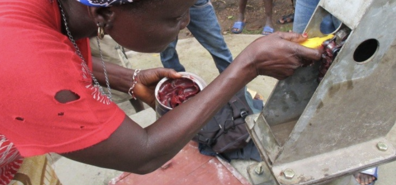 Implication des femmes dans la gestion et la maintenance des points d’eau : guide pour les animateurs (Sierra Léone)