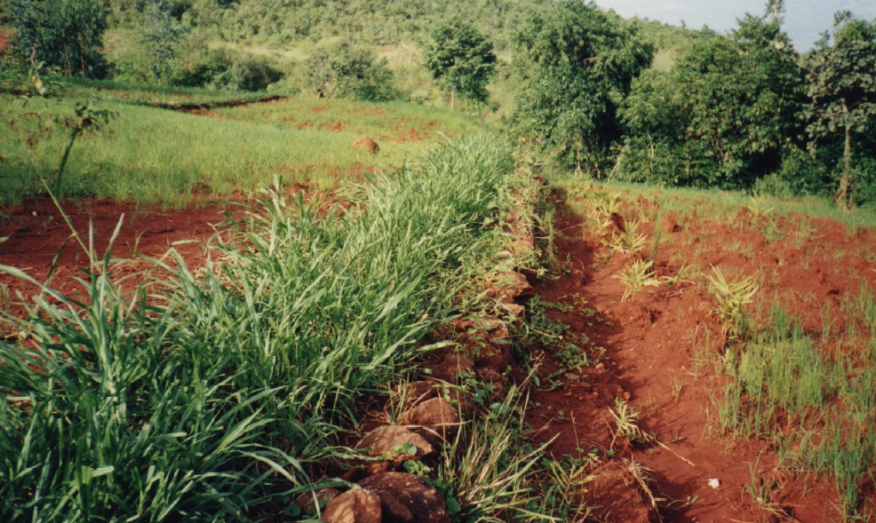 Soil conservation & comprehensive semi-filtering bund system in Ethiopia