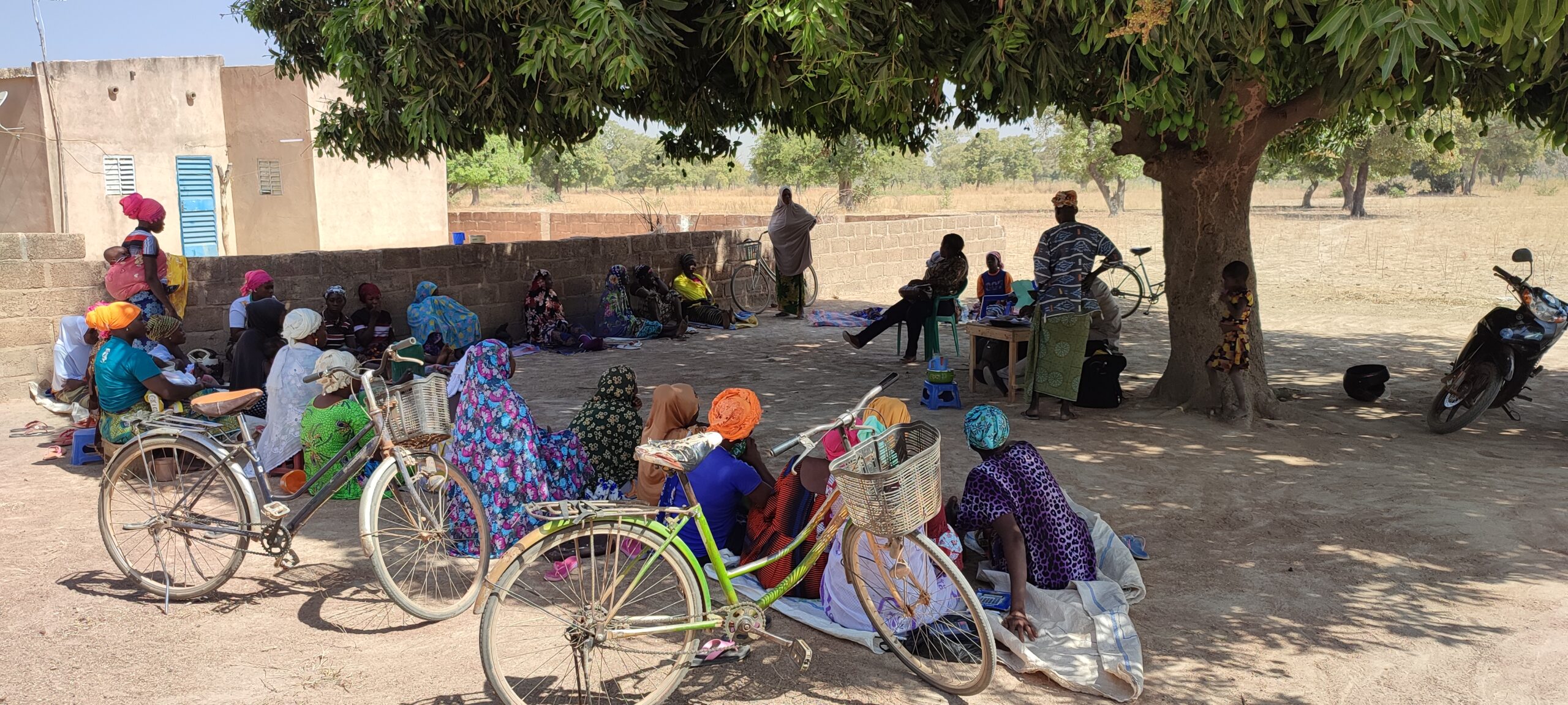 Evaluation through a Randomised Control Trial of the impact of a Mutual Health set up for vulnerable families in Burkina Faso